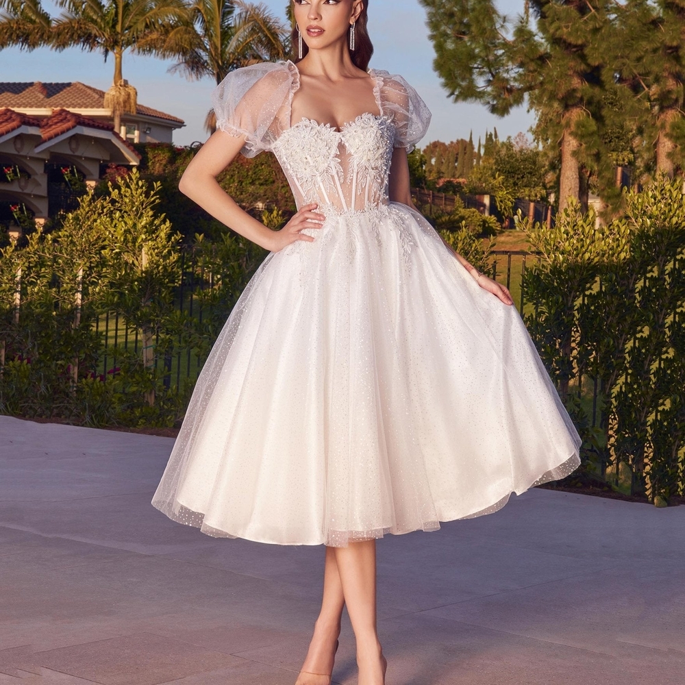 Ladivine By Cinderella Divine Size 3XL